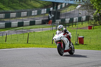 Advanced Group White Bikes